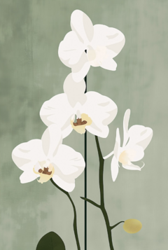 Set tríptico orquídeas - comprar online