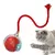 SmartCat Ball