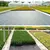 WeedBlock Pro - Barreira Anti-Ervas Daninhas - UppyShop
