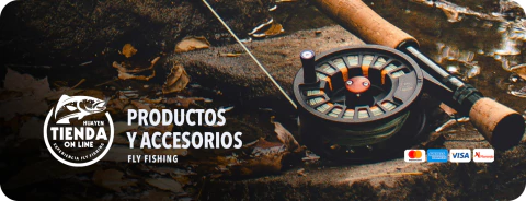 Imagen del carrusel 1