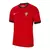 Camisa Seleção de Portugal I 24/25 - Torcedor Nike Masculina - comprar online