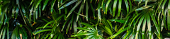Banner de la categoría Jardín