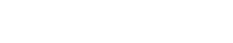 MESTIZO