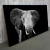 Quadro Elefante Está De Pé No Escuro - comprar online