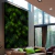 Quadro Close Up De Pinheiro - comprar online