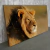 Quadro Leão Com Crina