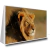 Quadro Leão Com Crina - comprar online