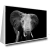Quadro Elefante Está De Pé No Escuro - comprar online