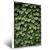 Quadro Monte De Folhas Verdes Em Parede - Quadro Pronto