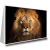 Quadro Leão Com Fundo Preto - comprar online