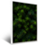 Quadro Close Up De Pinheiro - comprar online