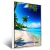 Quadro Praia Com Palmeiras E Oceano Azul Clar - comprar online