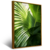 Imagem do Quadro Close Up De Folha Verde