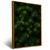 Imagem do Quadro Close Up De Pinheiro