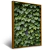 Quadro Monte De Folhas Verdes Em Parede - Quadro Pronto