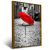 Quadro Guarda Chuva Vermelho Está Sentado Na - Quadro Pronto
