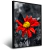 Quadro Borboleta Preta E Branca Em Flor Verme - comprar online