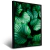 Imagem do Quadro Close Up De Planta Verde E Branca