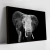 Quadro Elefante Está De Pé No Escuro - Quadro Pronto