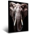 Quadro Elefante Com Tu Tu Tu Tu Tu Tu Tu Tu T 1 - comprar online