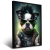 Quadro Cachorro Com Óculos De Sol E Violão - comprar online