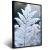Imagem do Quadro Close Up De Planta Gelada