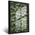 Quadro Monte De Folhas Verdes Em Parede