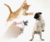 Alicate Cortador de Unhas para Cães e Gatos - Ease Store
