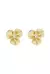 Brinco Flor -Ouro ( Kit Presente) - Distinta Semijoias