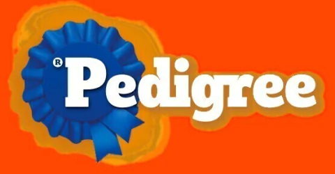 Marca 10 de Elracopet