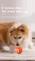 Bola de Brinquedo Inteligente para Cachorro - Lizzi Shop