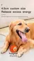 Bola de Brinquedo Inteligente para Cachorro - comprar online