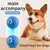 Bola de Brinquedo Inteligente para Cachorro - comprar online