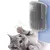 Imagem do Escova/Brinquedo para Gato