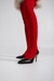 Amaranta - comprar online