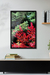 Acer Palmarum - loja online