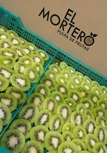 KIWI EN RODAJAS