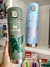 Botella Stanley 500cc - comprar online