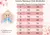 Vestido Banana Club Taina Modinha Rosa Bebe (VESTBNNCLBTNMDNRSBB) - loja online