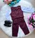 Conjunto Miss Cherry Social Colete Marsala (CONJNTMSSCHRRSCALCLTMARSL) - comprar online