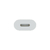 Adaptador de Lightning a USB-C Apple - comprar online