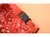 Coleira com Bandana na internet