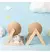 Brinquedo Bola de Sisal para Gatos - Naru Shop
