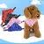 Coleira com Bandana - loja online