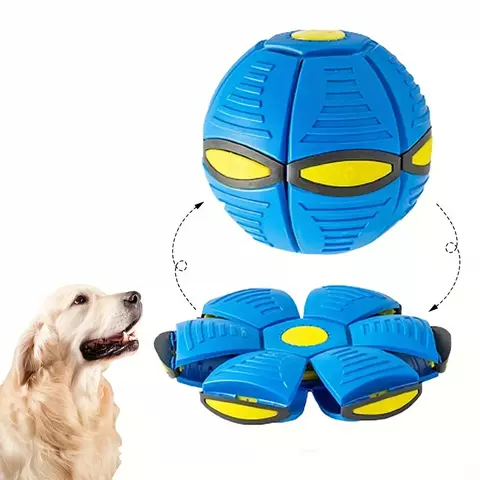 Bola Saltitante de Disco Voador