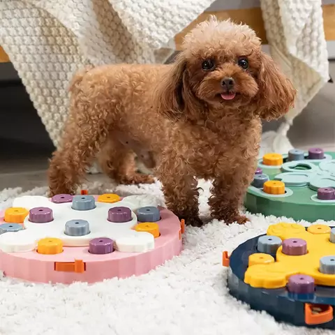 brinquedo interativo pet

