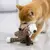 brinquedo de pelúcia para cães