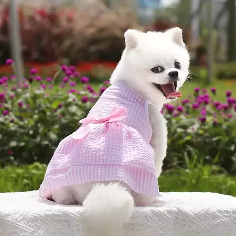 vestido para cães pequenos