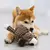 Immortal Squeaker – O Brinquedo Indestrutível para Cães com Mordida Forte
