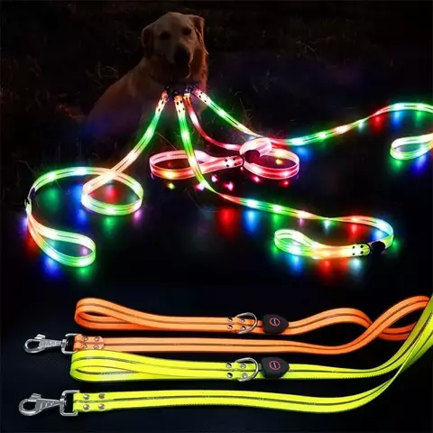 Trela LED Iluminada